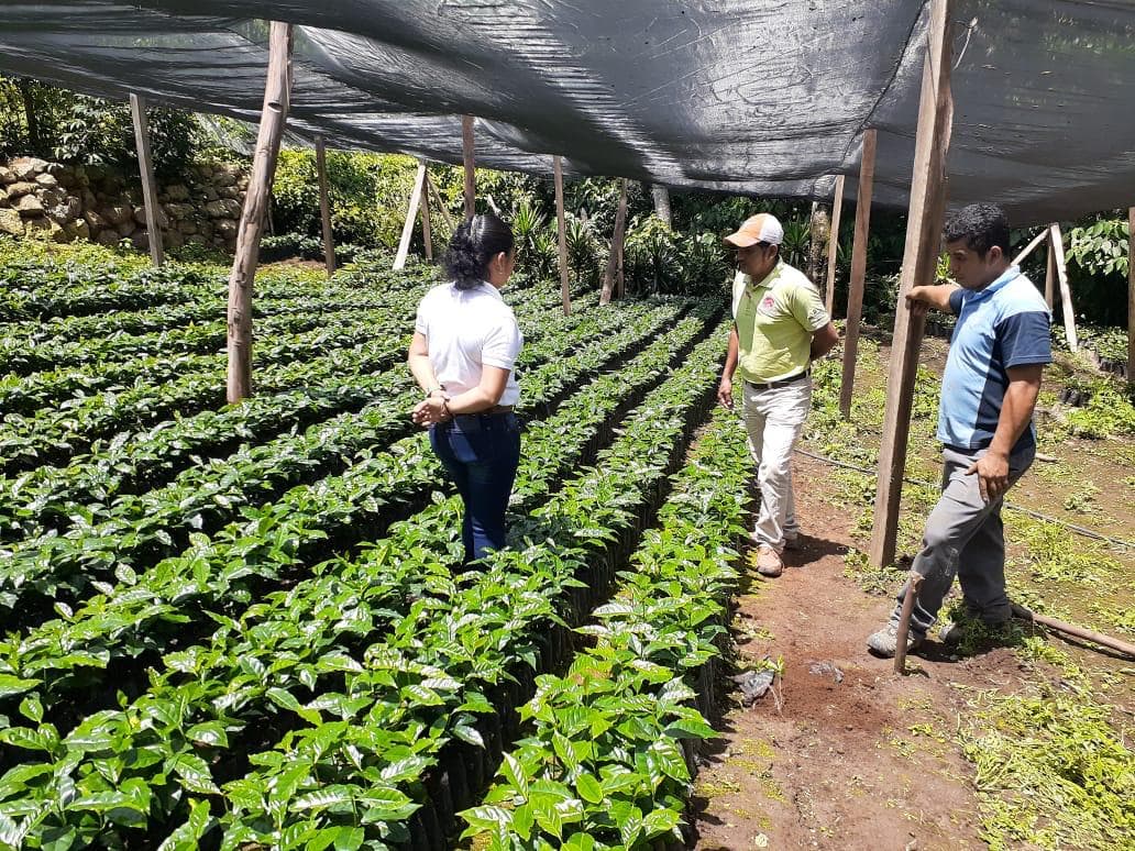 Math on Wheels gallery