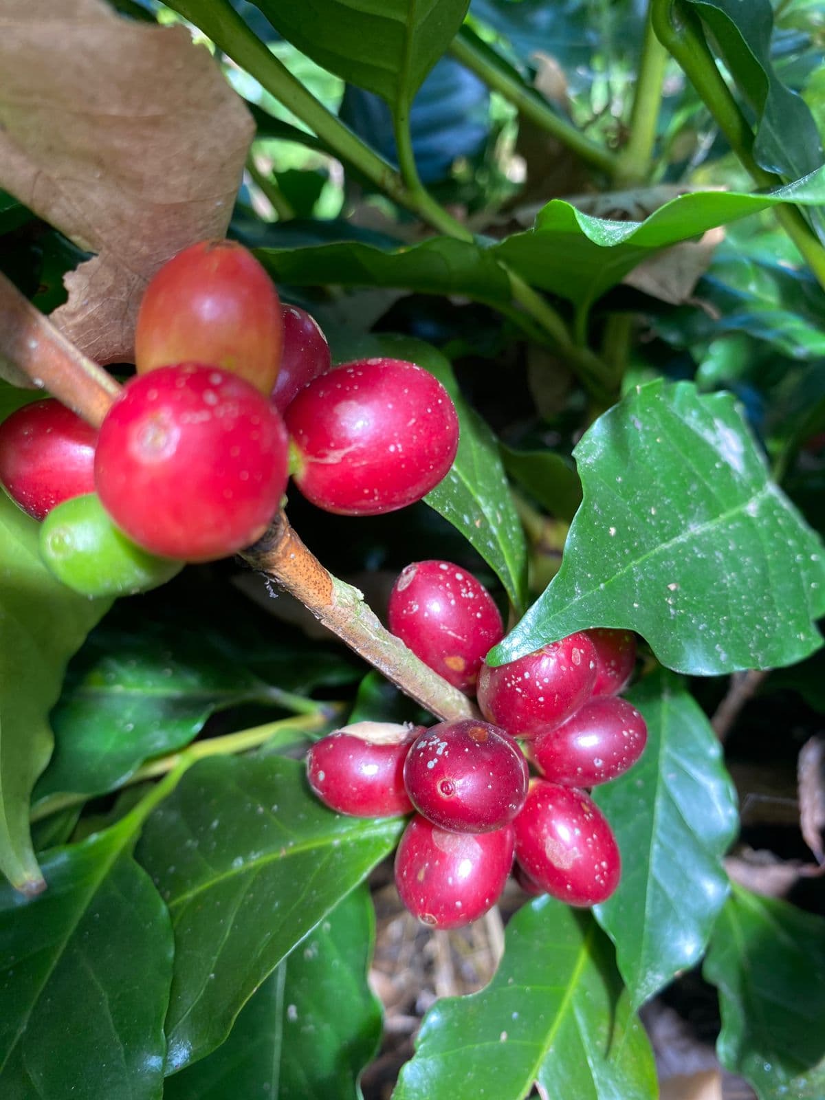 Math on Wheels gallery