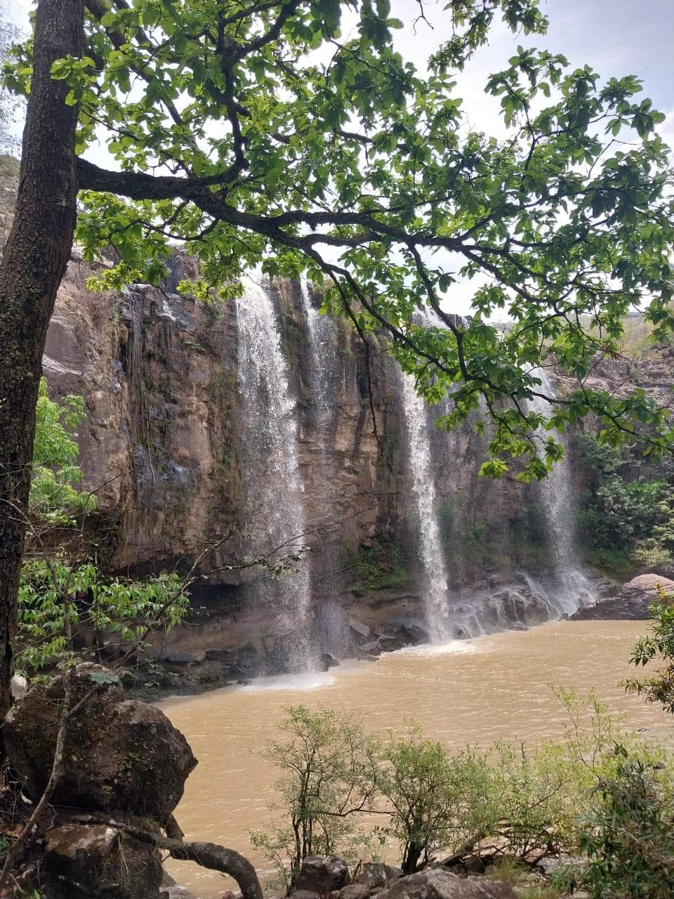 Math on Wheels gallery