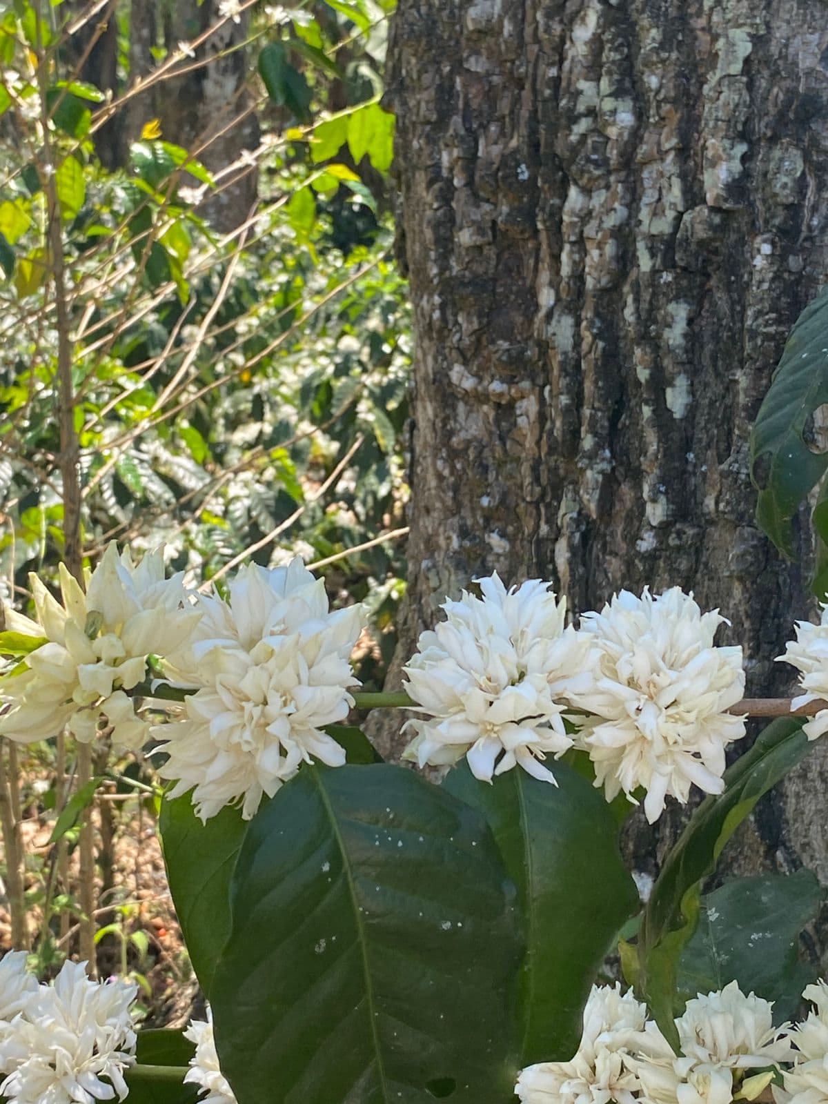 Math on Wheels gallery